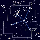 Aquila