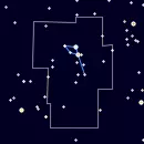 Delphinus