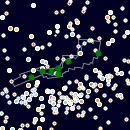 Hydra