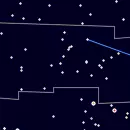 Vulpecula