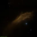 NGC1499
