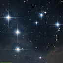 NGC1981