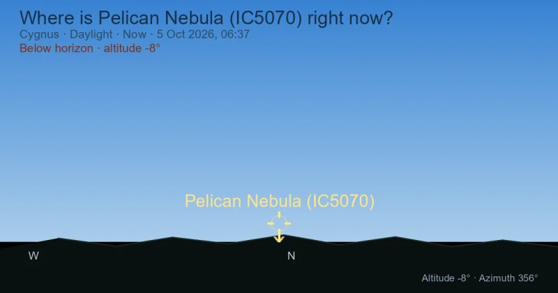 Where is Pelican Nebula (IC5070) right now?