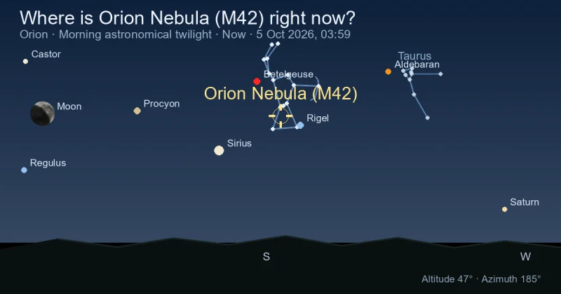Where is Orion Nebula (M42) right now?