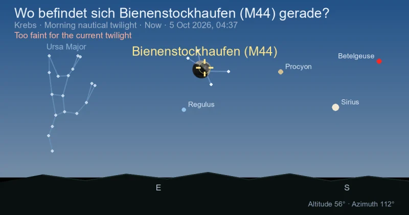 Wo befindet sich Bienenstockhaufen (M44) gerade?