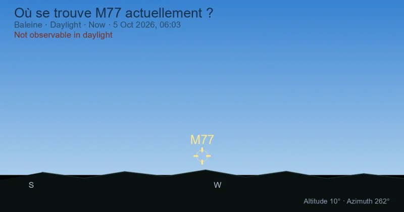 Où se trouve M77 actuellement ?