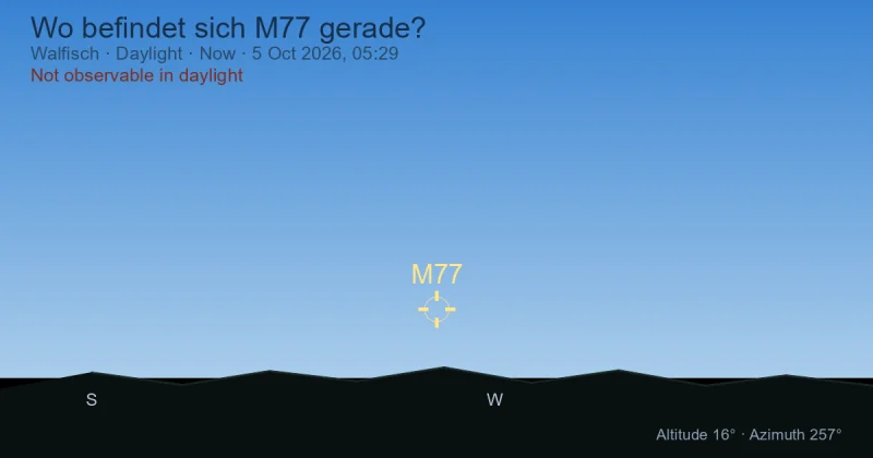 Wo befindet sich M77 gerade?