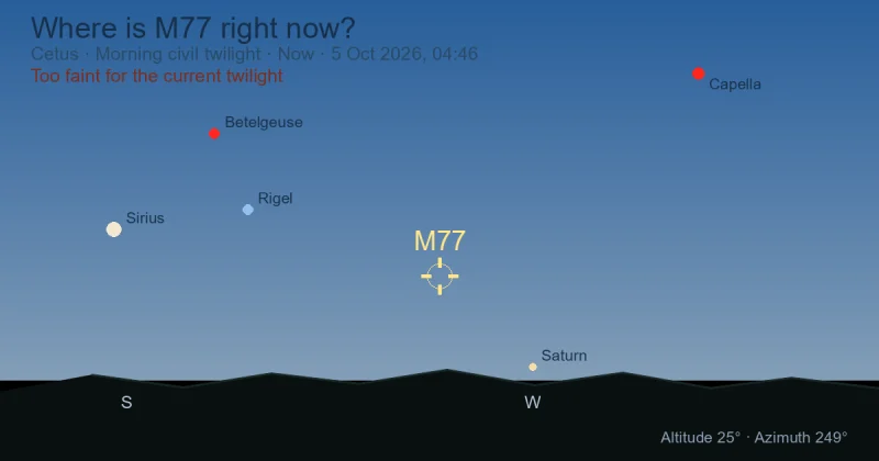 Where is M77 right now?