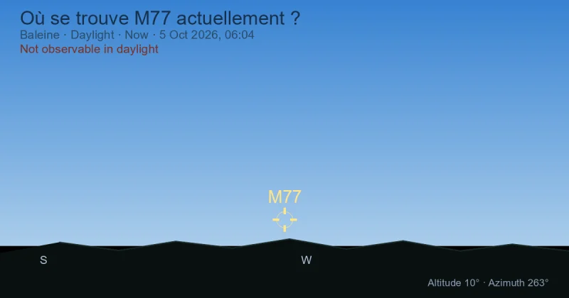 Où se trouve M77 actuellement ?