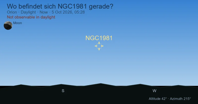 Wo befindet sich NGC1981 gerade?