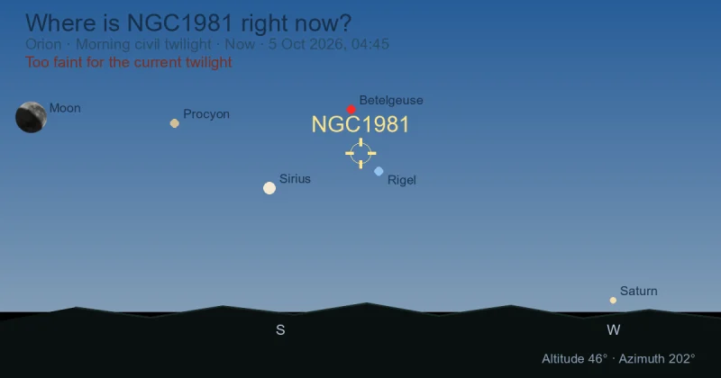 Where is NGC1981 right now?