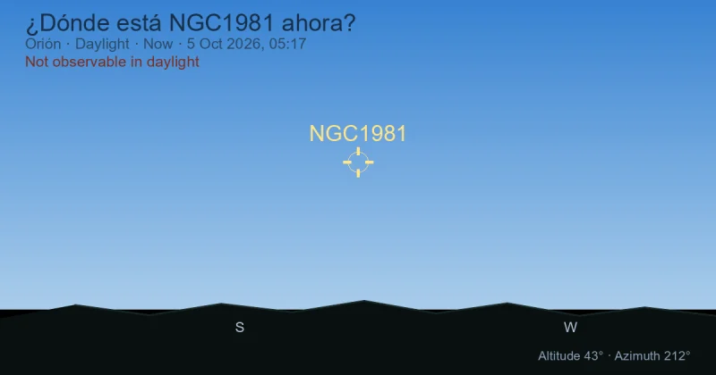 ¿Dónde está NGC1981 ahora?