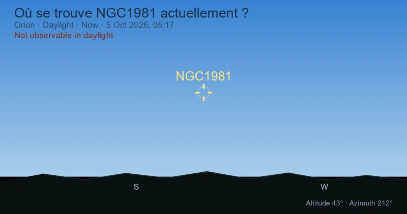 Où se trouve NGC1981 actuellement ?