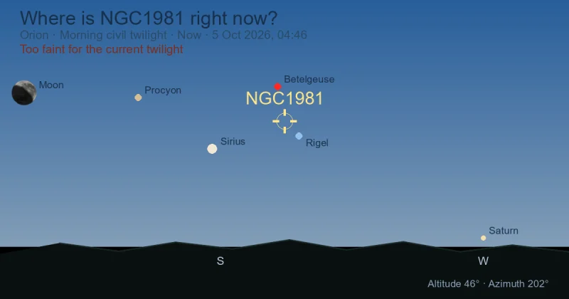Where is NGC1981 right now?