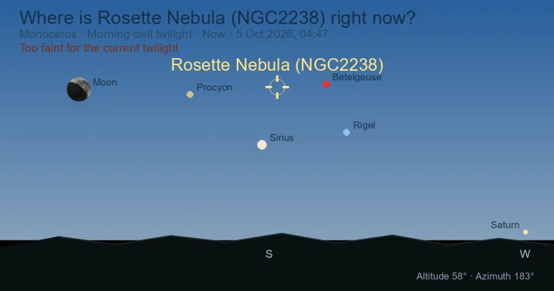 Where is Rosette Nebula (NGC2238) right now?
