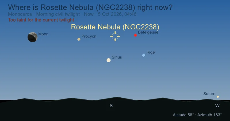 Where is Rosette Nebula (NGC2238) right now?