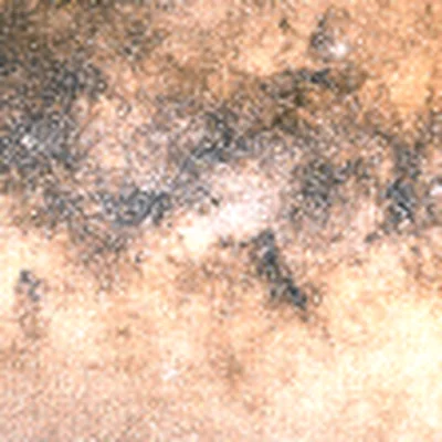 Small Sagittarius Star Cloud (M24)