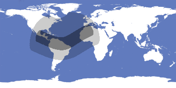 Annular Solar Eclipse 1973-12-24