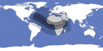 Annular Solar Eclipse 1983-12-04
