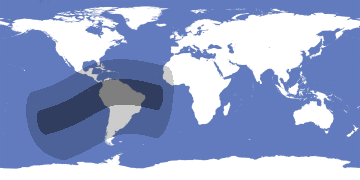 Annular Solar Eclipse 1995-04-29