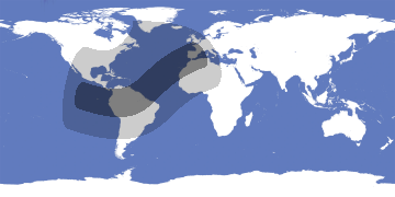 Annular Solar Eclipse 2028-01-26