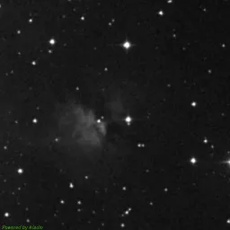 IC0444 — blue-filter image