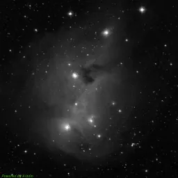 IC0447 — blue-filter image
