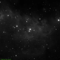 IC1848 — blue-filter image