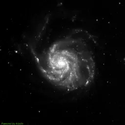 M101 — blue-filter image