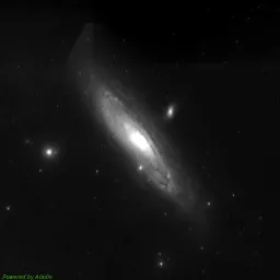 M31 — blue-filter image