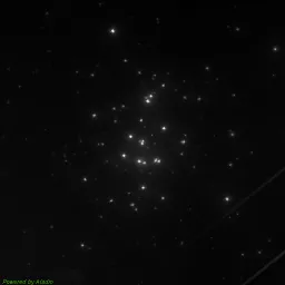 M44 — blue-filter image