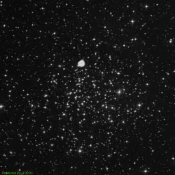 M46 — blue-filter image