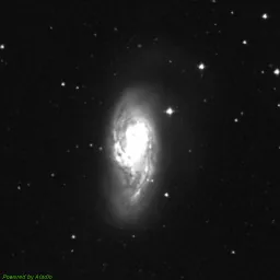 M66 — blue-filter image
