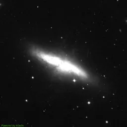 M82 — blue-filter image