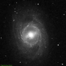 M95 — blue-filter image