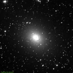 NGC0185 — blue-filter image