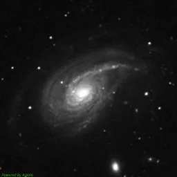 NGC0772 — blue-filter image