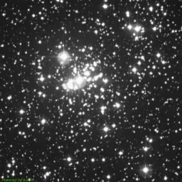 NGC0869 — blue-filter image