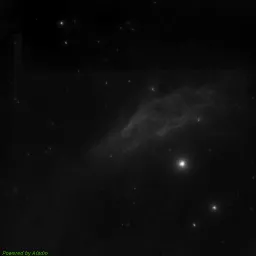 NGC1499 — blue-filter image