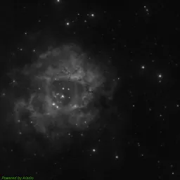 NGC2238 — blue-filter image