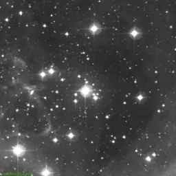 NGC2239 — blue-filter image