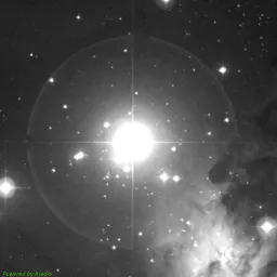 NGC2264 — blue-filter image