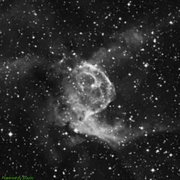 NGC2359 — blue-filter image