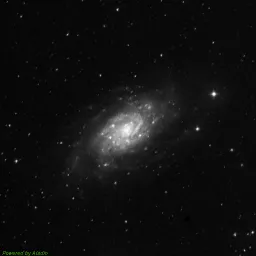 NGC2403 — blue-filter image