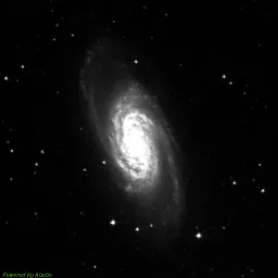 NGC2903 — blue-filter image
