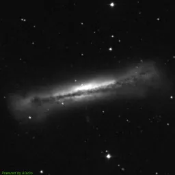 NGC3628 — blue-filter image