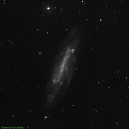 NGC4236 — imagem com filtro azul