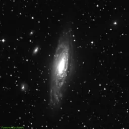 NGC7331 — blue-filter image