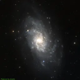 M33 — composite color image