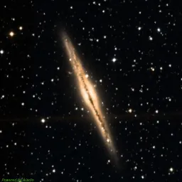 NGC0891 — composite color image